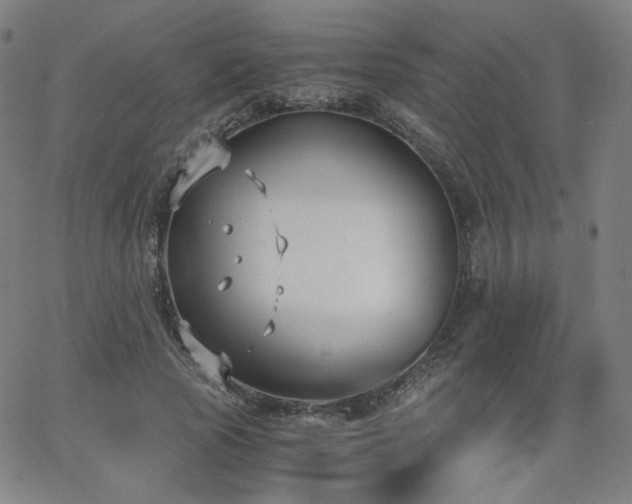 X0000063520737200601201432