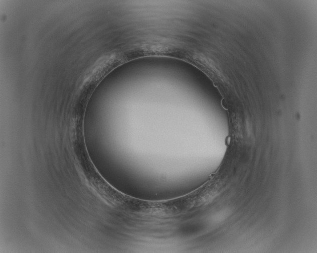 X0000063520738200601201432