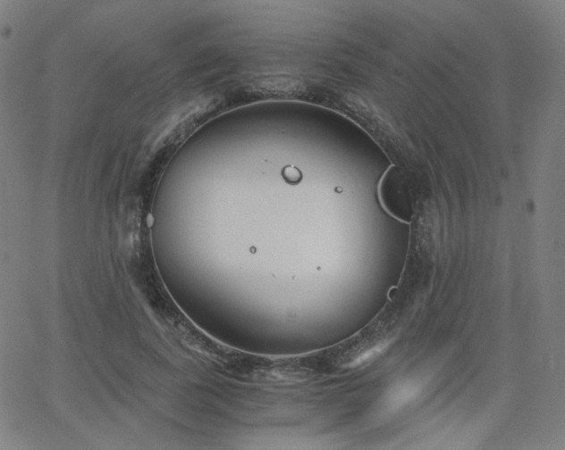 X0000063520739200601201432