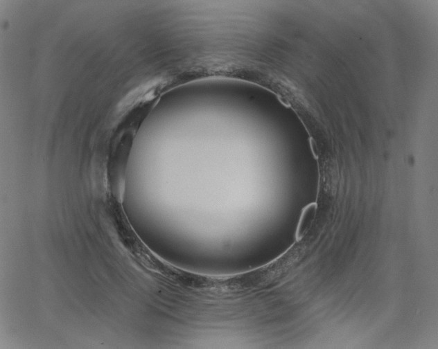 X0000063520740200601201432