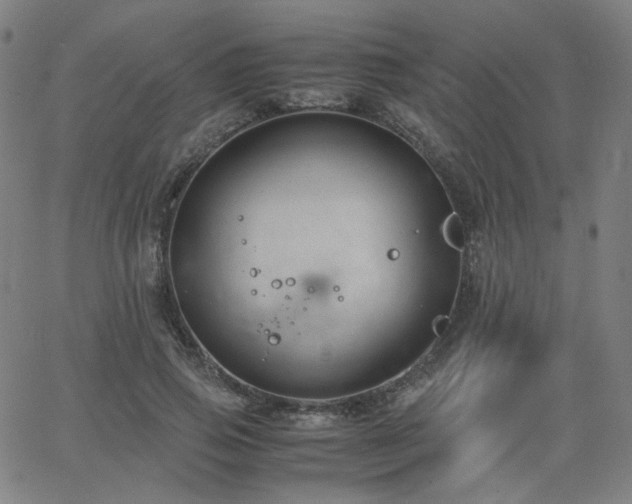 X0000063520741200601201432