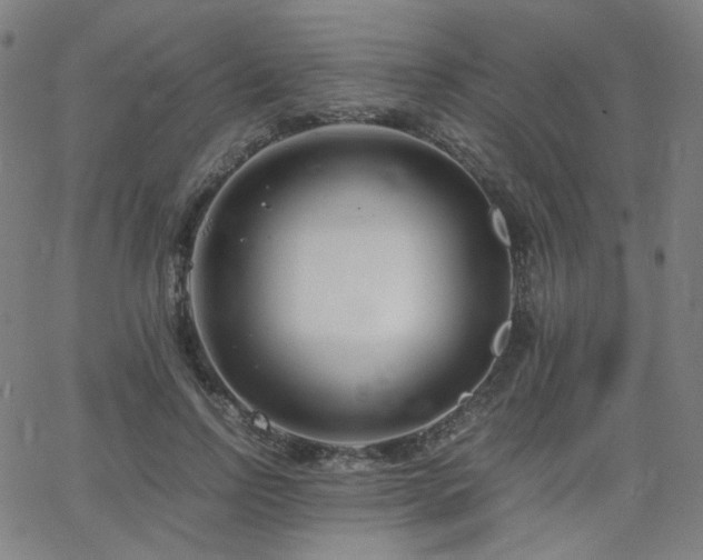 X0000063520742200601201432