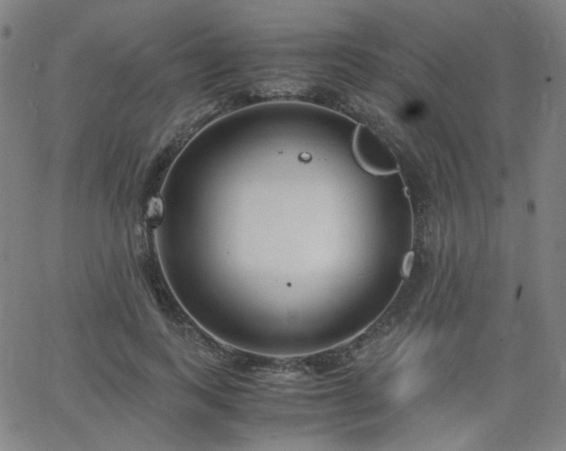 X0000063520743200601201432