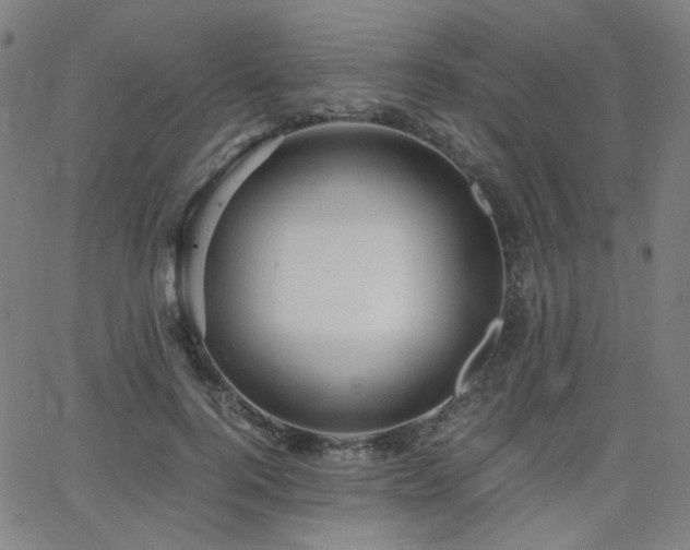 X0000063520744200601201432