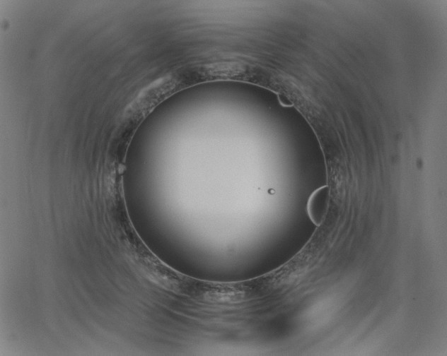 X0000063520745200601201432