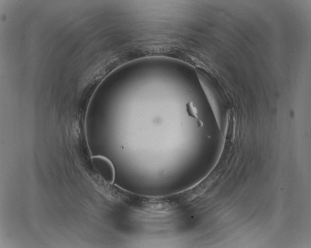 X0000063520746200601201432