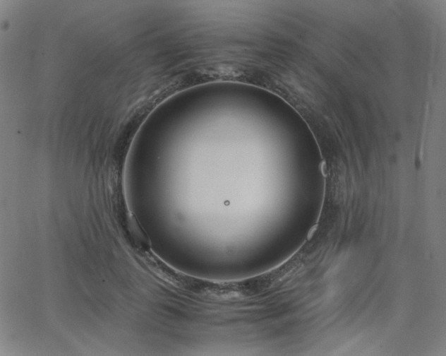 X0000063520747200601201432