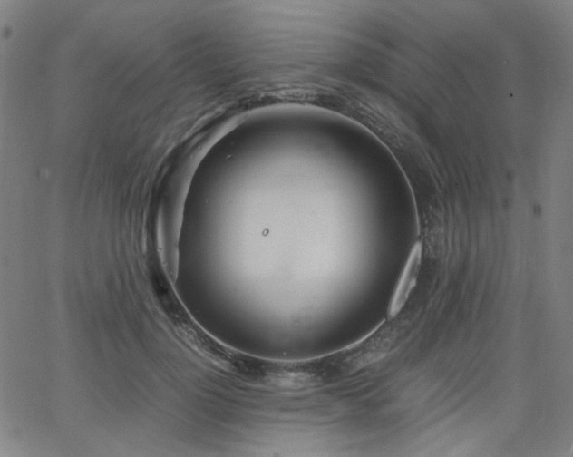 X0000063520748200601201432