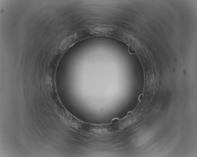 X0000063520749200601201432