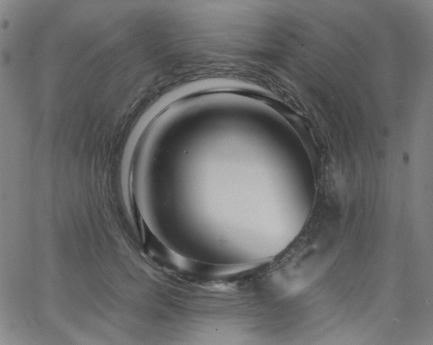 X0000063520750200601201432