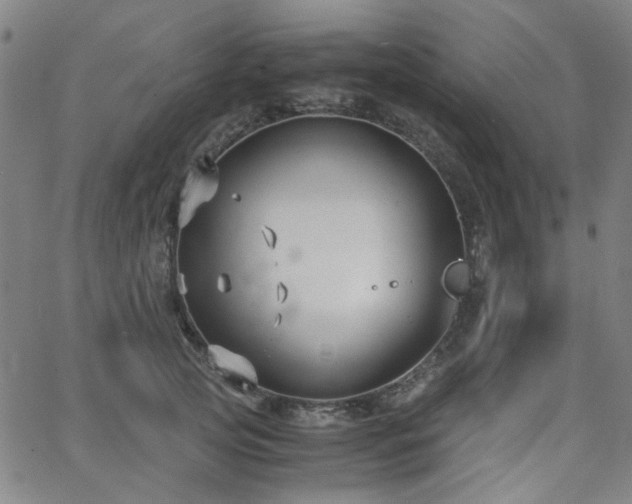 X0000063520753200601201433