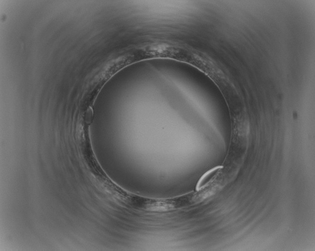 X0000063520754200601201433