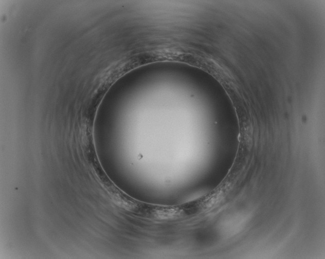 X0000063520757200601201433