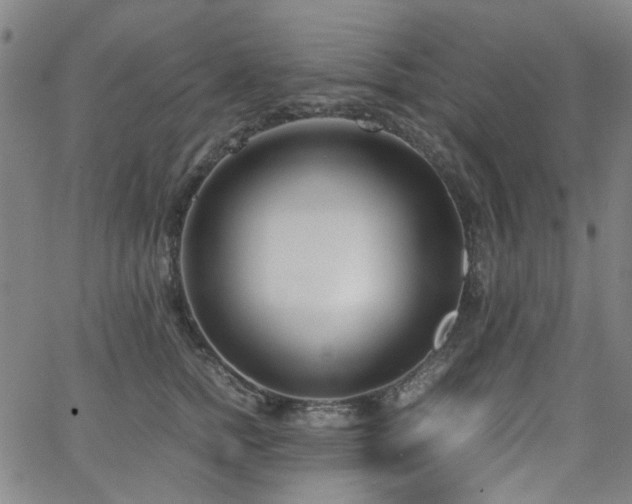 X0000063520758200601201433