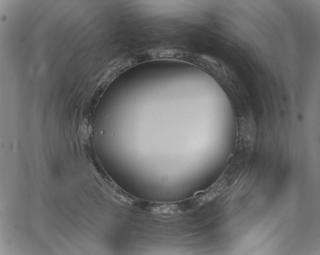 X0000063520761200601201433