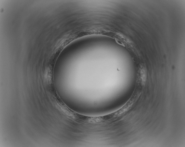 X0000063520762200601201433