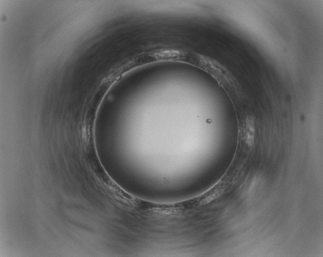 X0000063520763200601201433