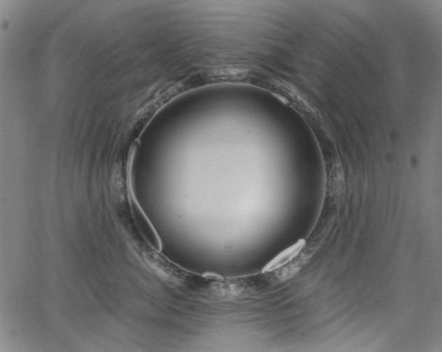 X0000063520764200601201433