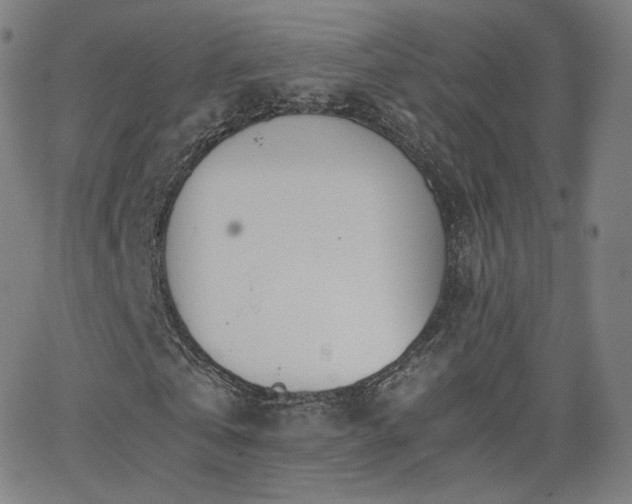 X0000063520769200601201432