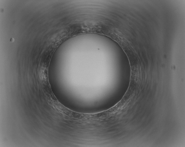 X0000063520770200601201432