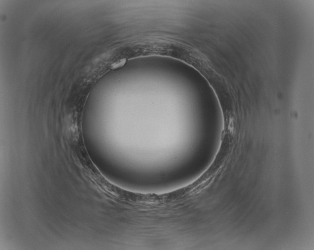 X0000063520771200601201432