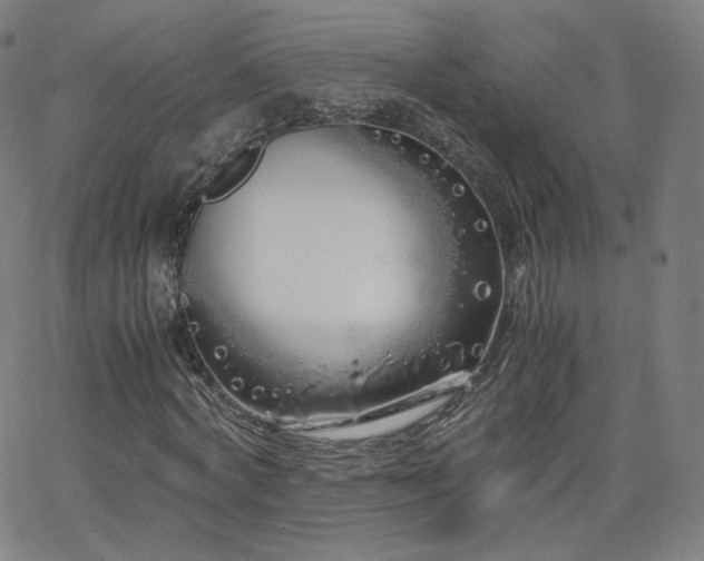 X0000063520772200601201432