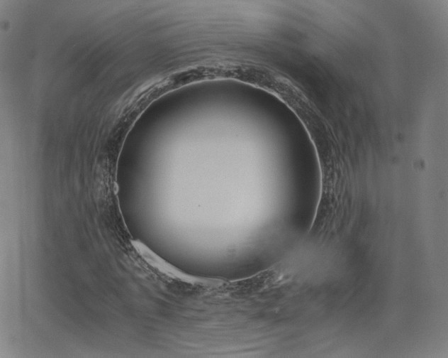 X0000063520773200601201432