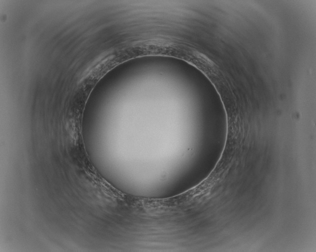 X0000063520774200601201432