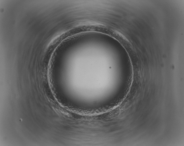 X0000063520775200601201432