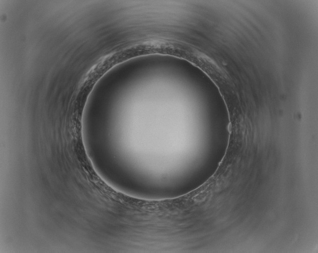 X0000063520776200601201432