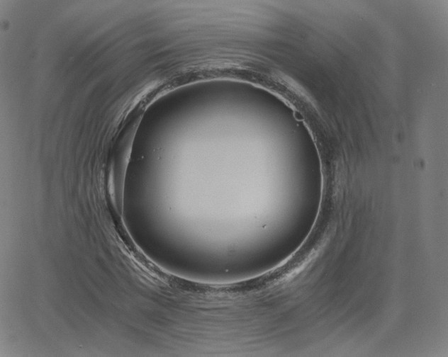 X0000063520777200601201432