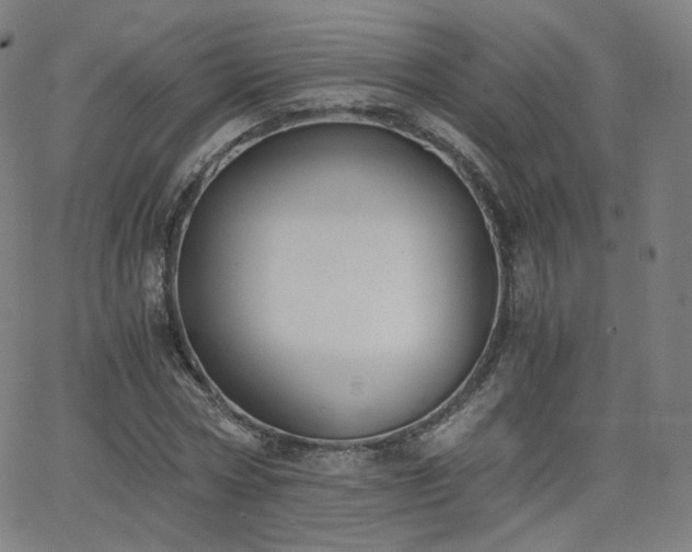 X0000063520778200601201432