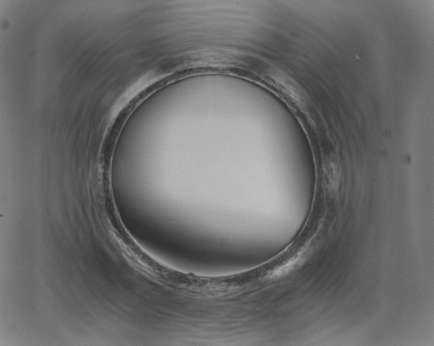 X0000063520779200601201432