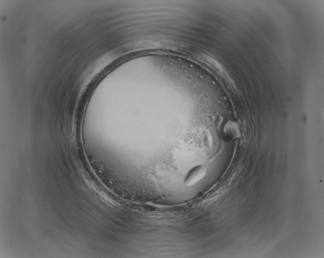 X0000063520780200601201432