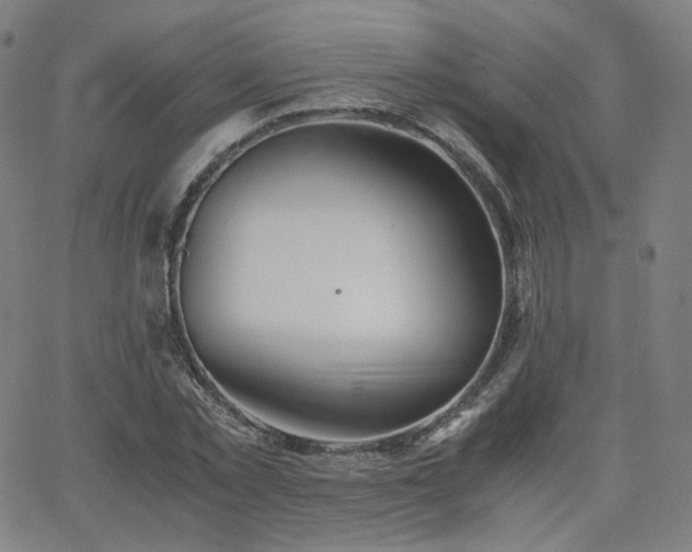 X0000063520781200601201432