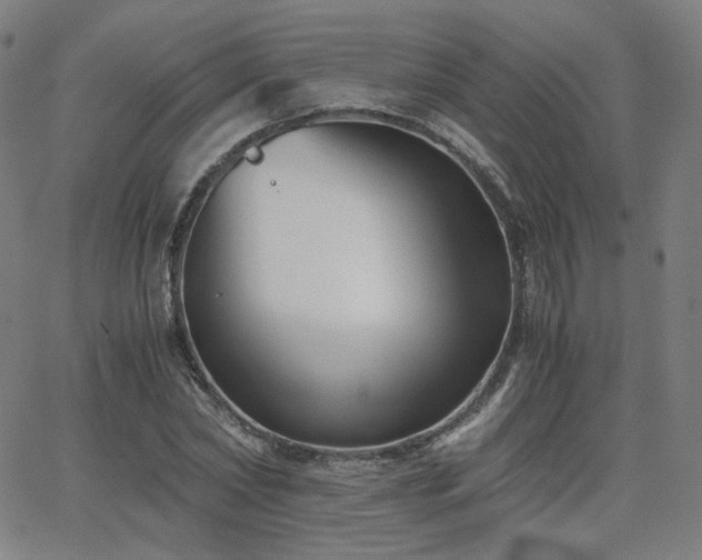 X0000063520782200601201432