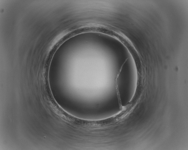 X0000063520783200601201432