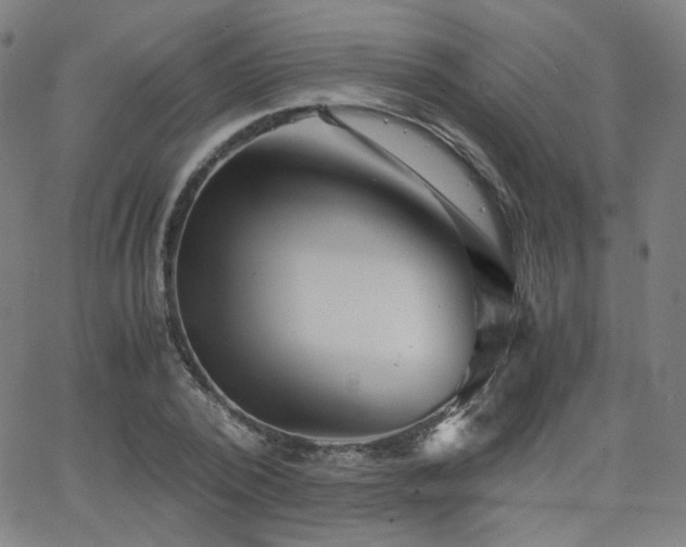 X0000063520784200601201432