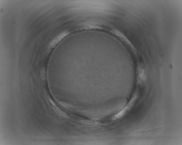 X0000063520785200601201432