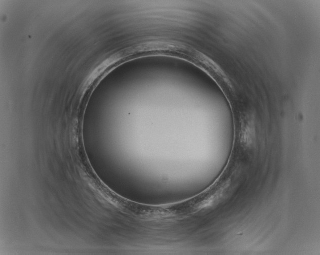 X0000063520786200601201432