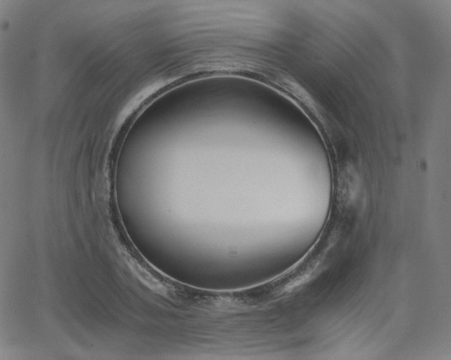 X0000063520787200601201432