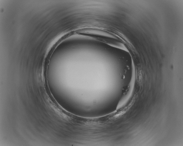 X0000063520788200601201432