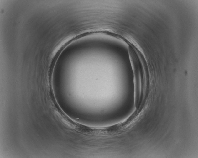 X0000063520789200601201432