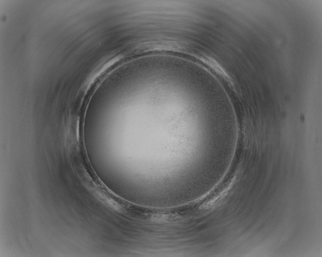 X0000063520790200601201432