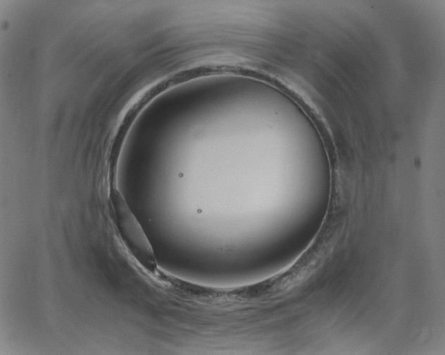 X0000063520791200601201432