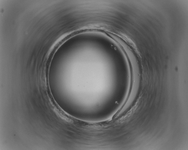 X0000063520792200601201432