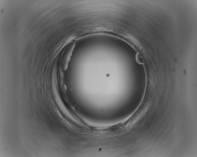 X0000063520793200601201432