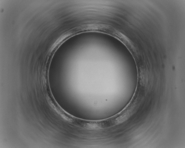 X0000063520794200601201432