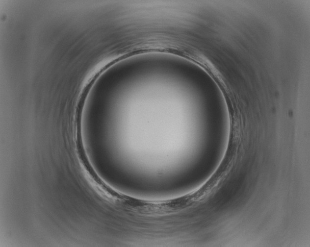 X0000063520795200601201432