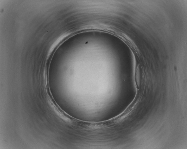 X0000063520796200601201432